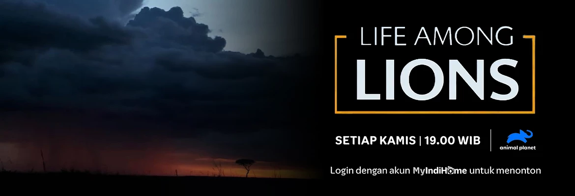 LIFE AMONG LIONS NEW SERIES