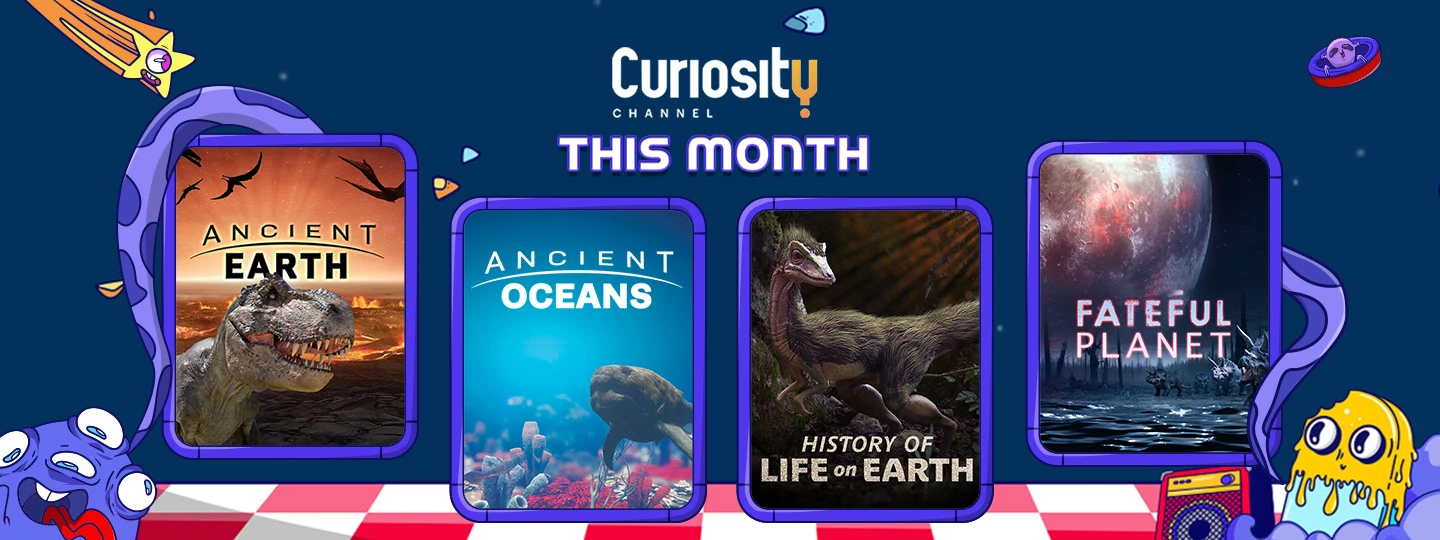Curiosity This Month