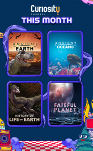 Curiosity This Month